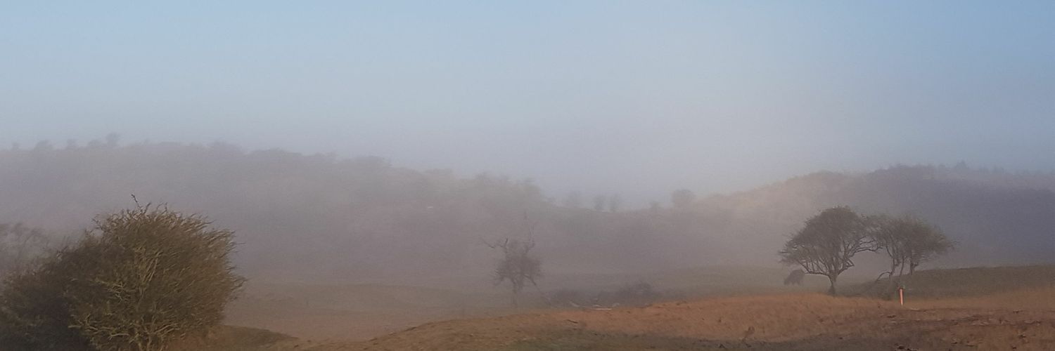 ElisavRos's profile banner image
