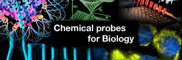 RiveraChemLab Profile Banner