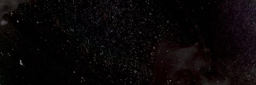 lionmxoficial's profile banner image