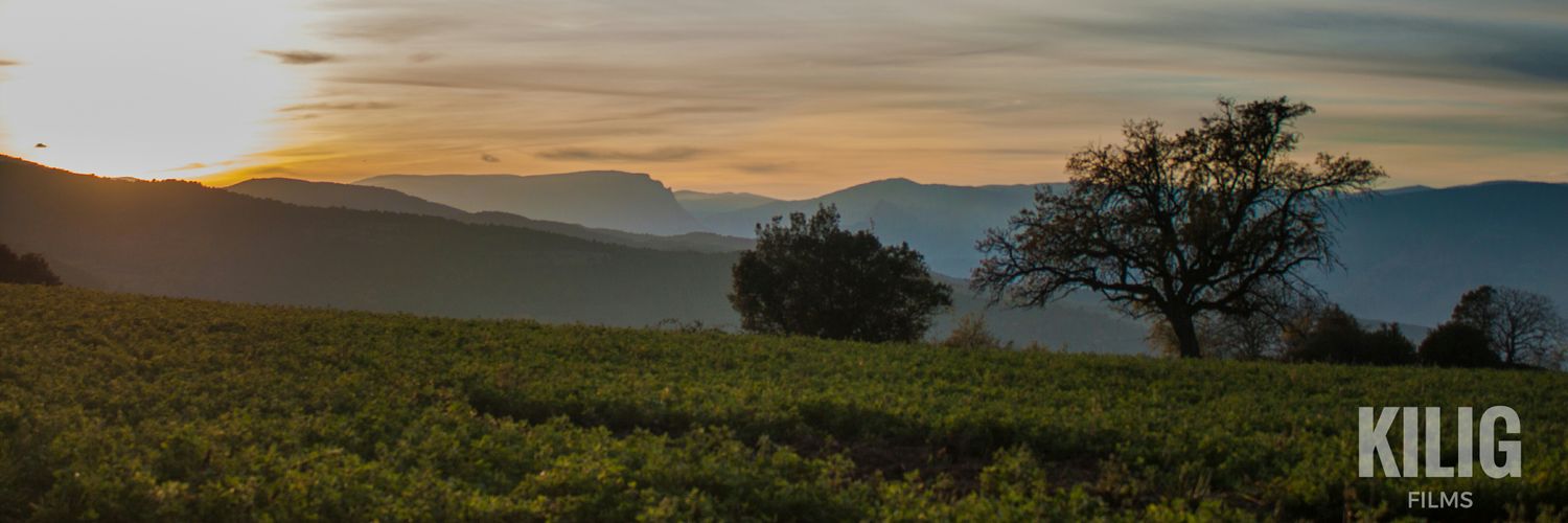 Jordiandreu007's profile banner image