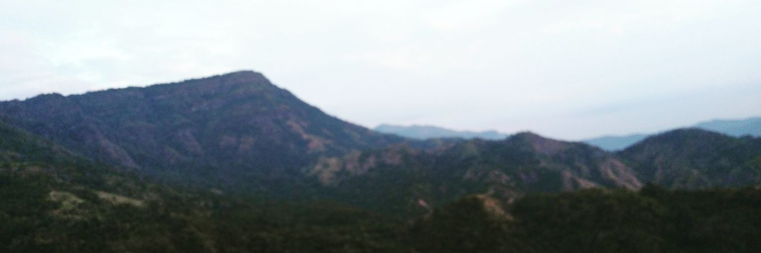 ✞︎ ℙ𝕠𝕠𝕘𝕒𝕟 ✞︎ banner