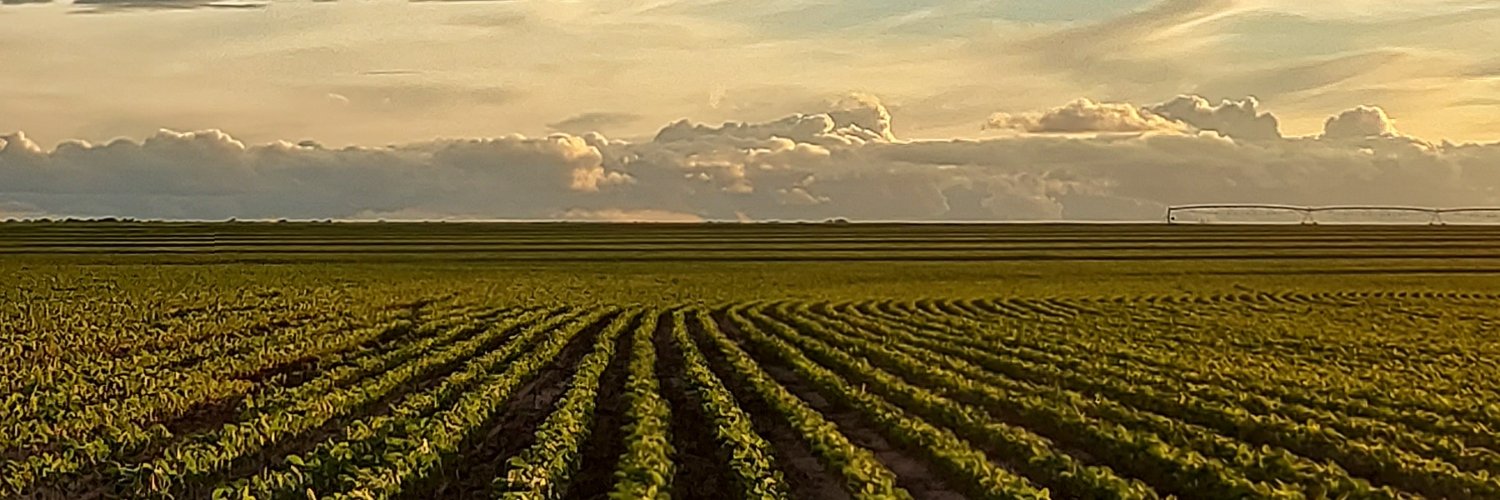 MATOPIBA AGRO 🌾🇧🇷's banner