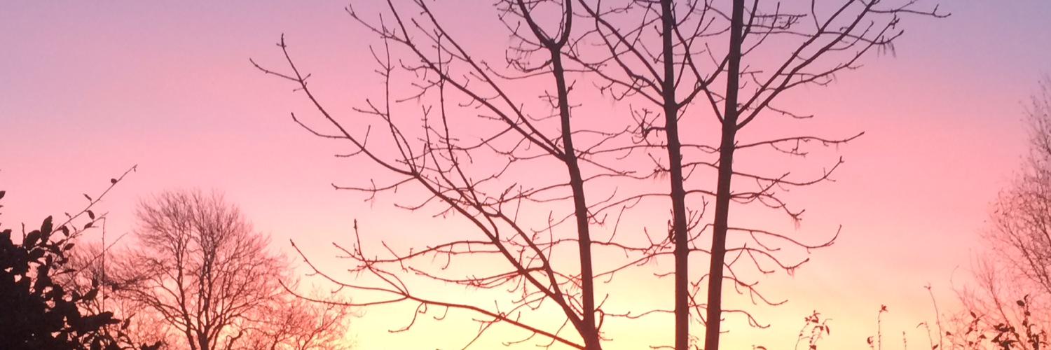 Louisa Thompson banner