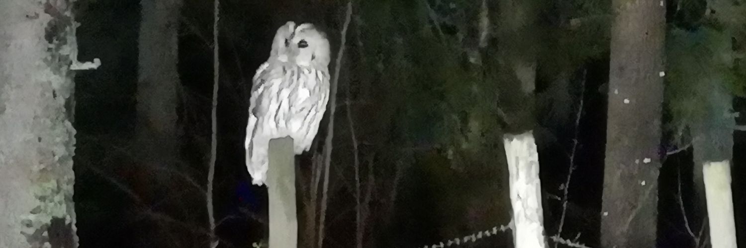 typkajsa's profile banner image