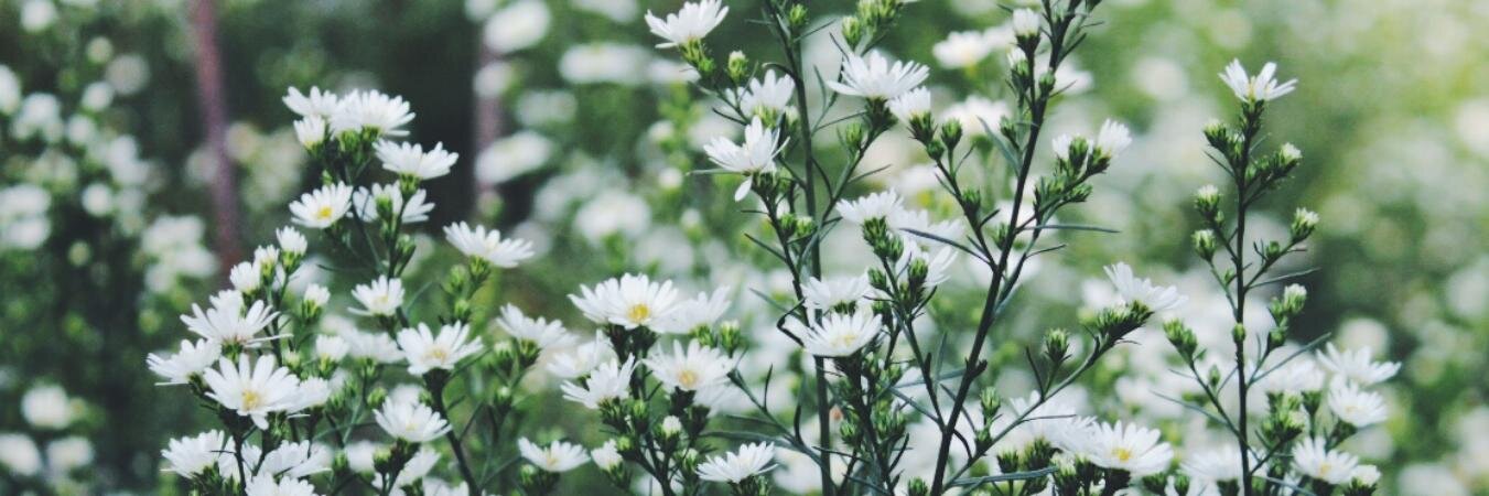 ayuudiahh's profile banner image
