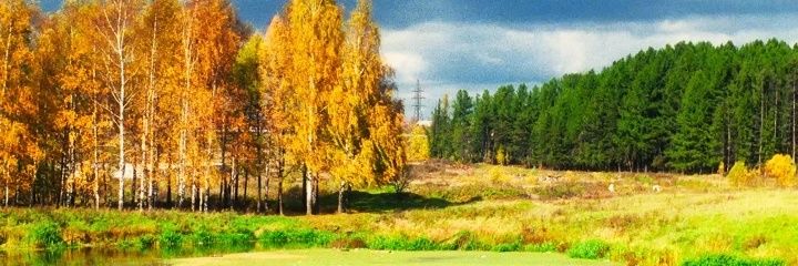 peterrelix's profile banner image
