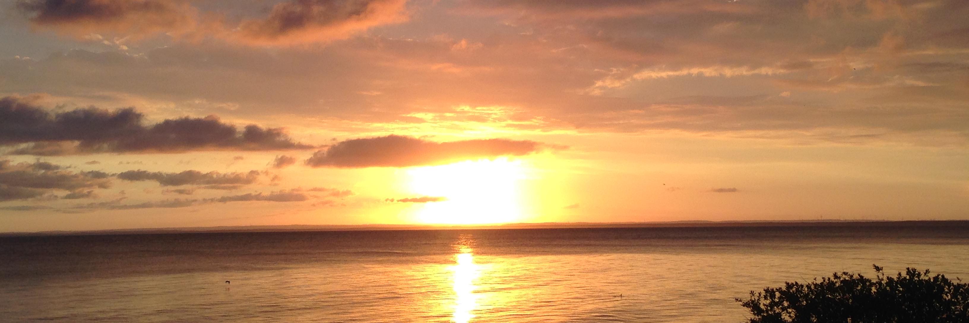 Sven Nordenstam banner