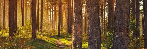 LovePaperUK Profile Banner