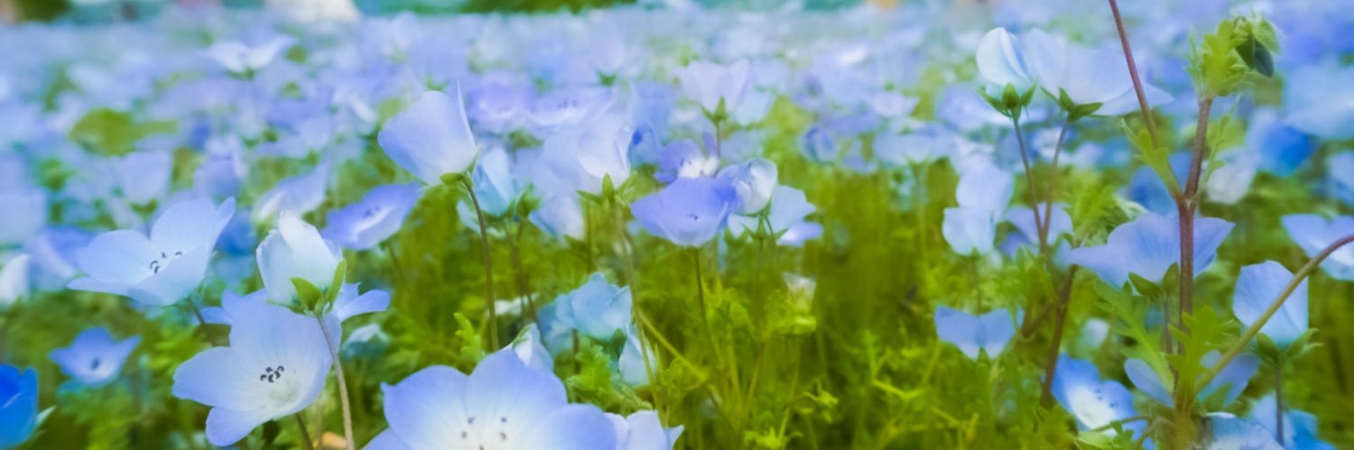 sm0632's profile banner image