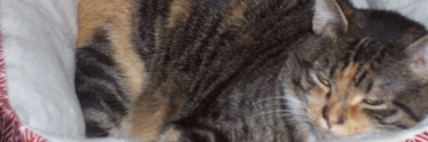 oiler_jamie's profile banner image