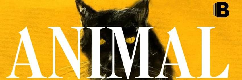LetiEstiloLibre's profile banner image