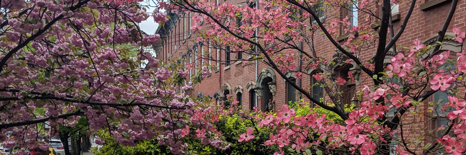 Joanna Rock (Catalano) banner