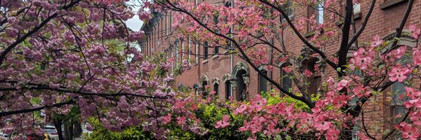 joannarockdo Profile Banner