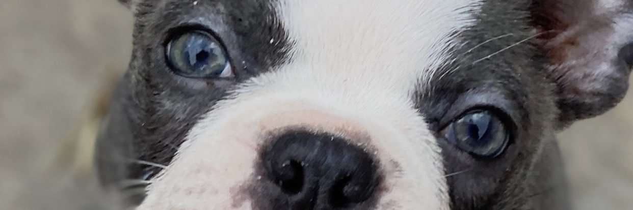 amanda720's profile banner image