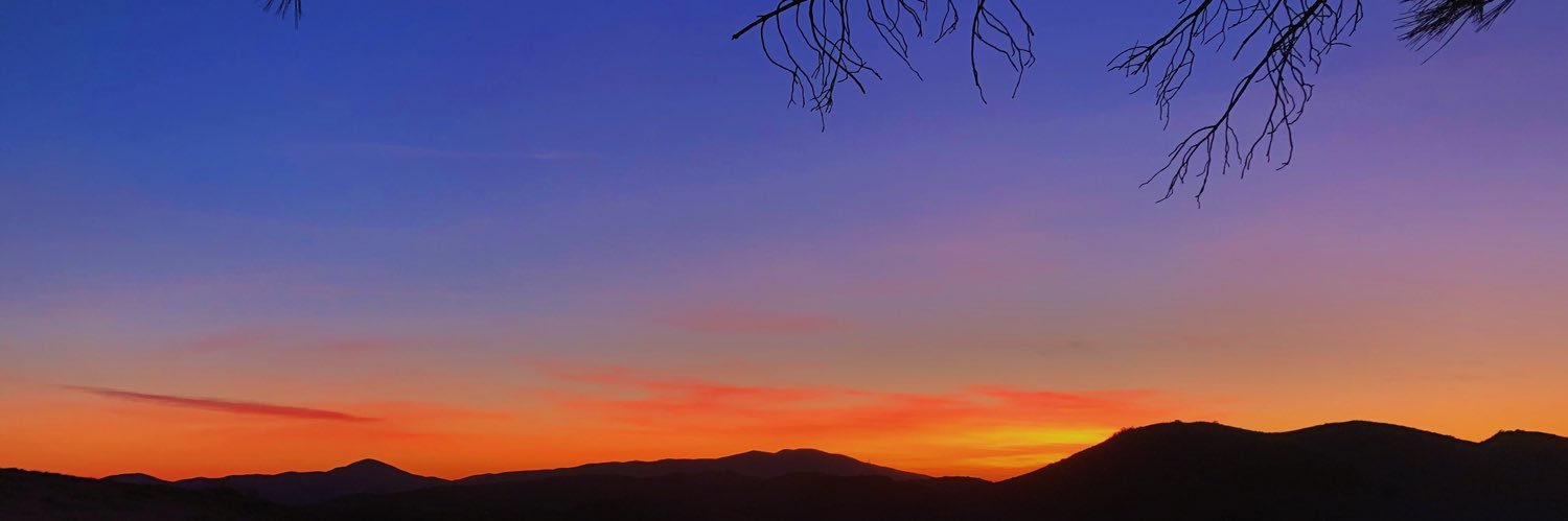 aliyastms's profile banner image