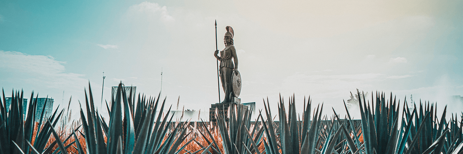 Vero Flores banner