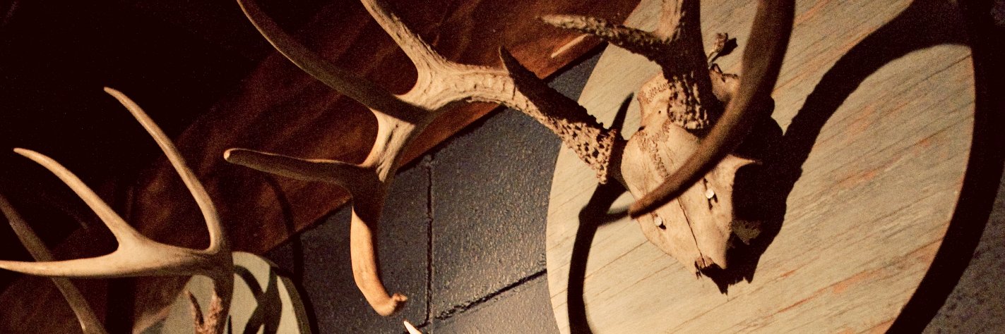 The Fixin' To banner