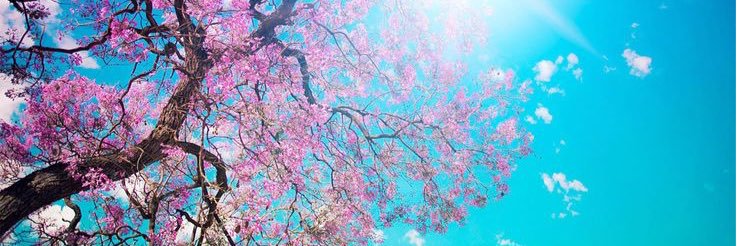 Natalie KhouryFraser banner