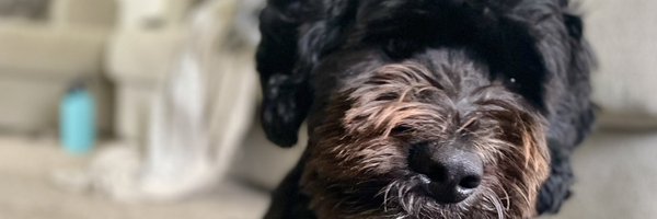 AndySrokaPBR Profile Banner