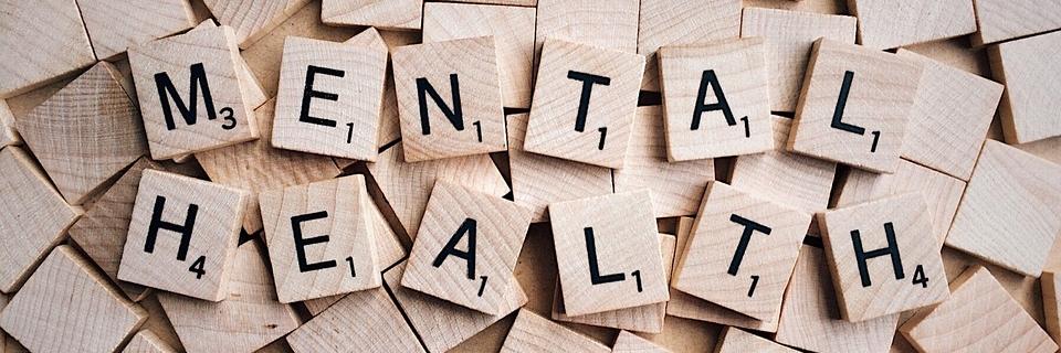 Health and Wellness Field Day banner