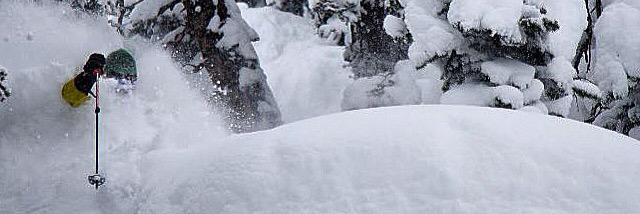 Eric Henderson banner