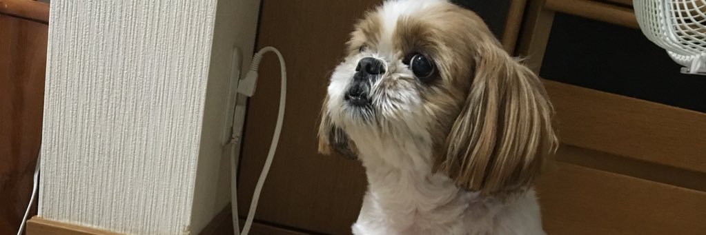 shinbb04's profile banner image