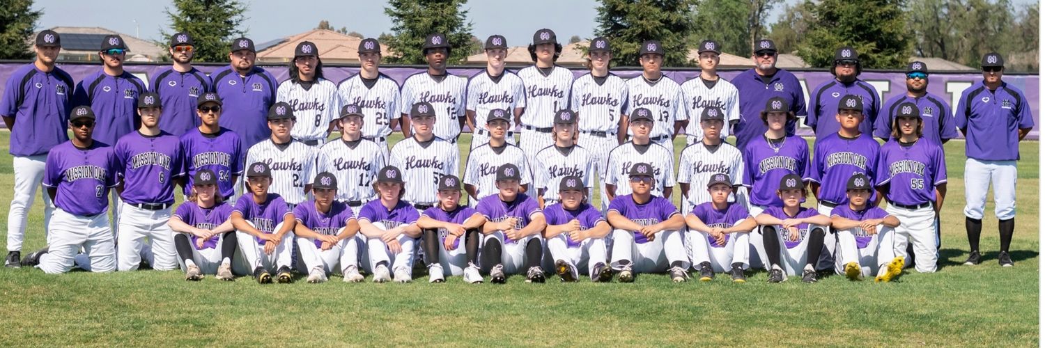 MO Hawks baseball banner