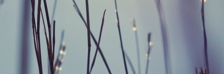 SustFutures's profile banner image
