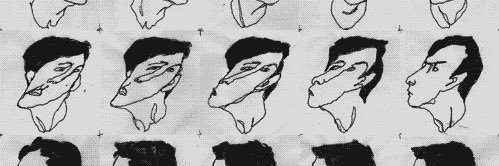 ciavelio's profile banner image