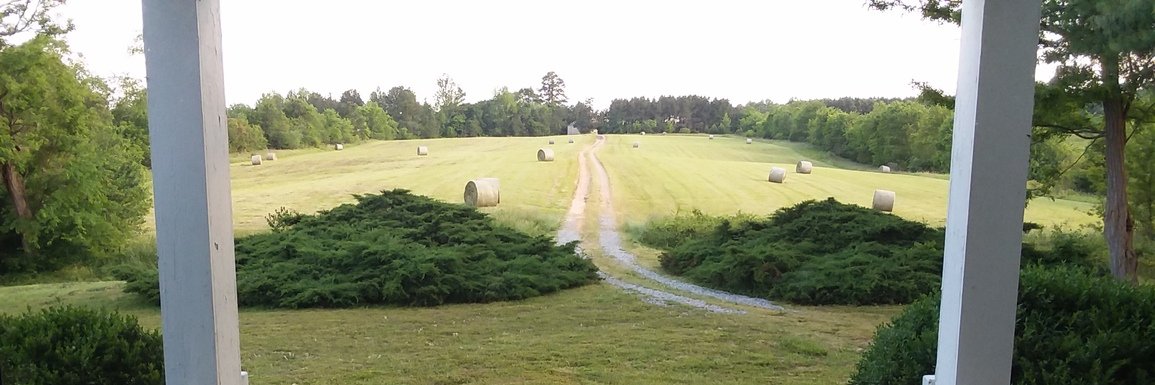 Danny Sprinkle banner