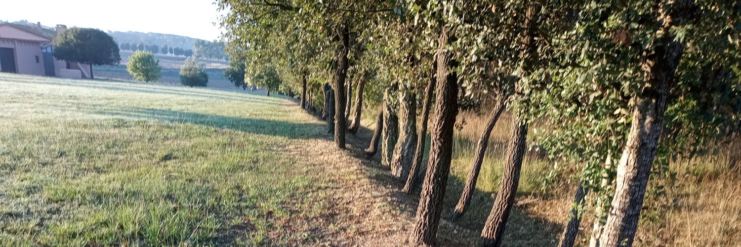 Eloi Madrià Roura banner