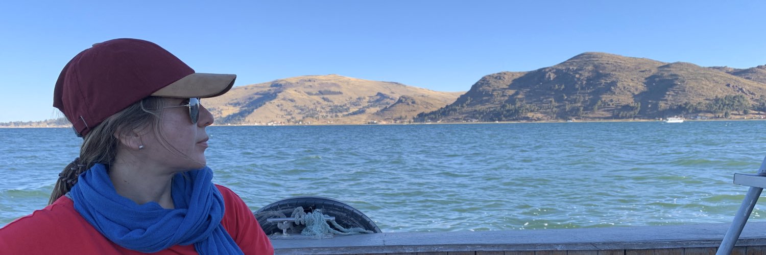 finsaurralde's profile banner image