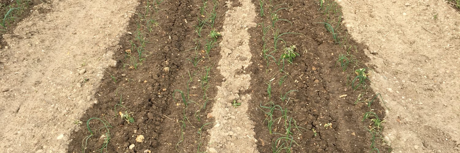 Drip UK (Irrigation Services) Ltd banner