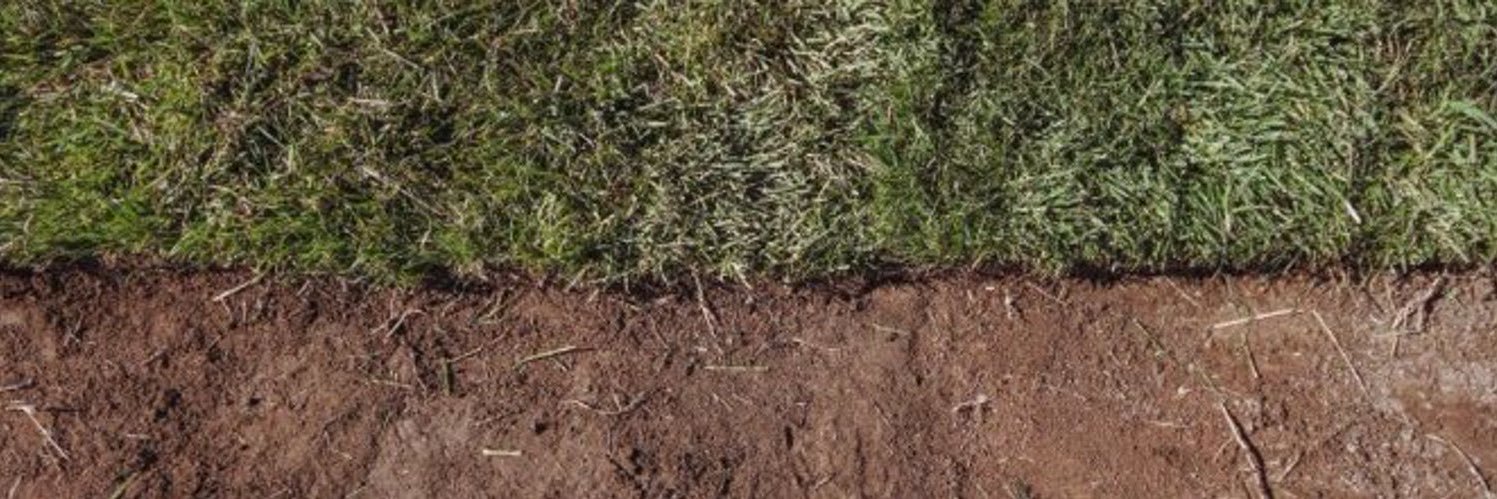 Data Deportivo 📊 banner