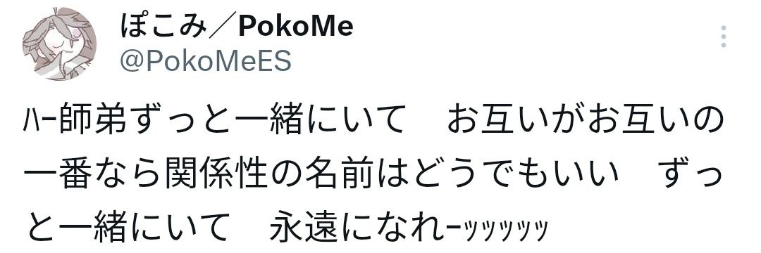 ぽこみ@bluesky移住 banner