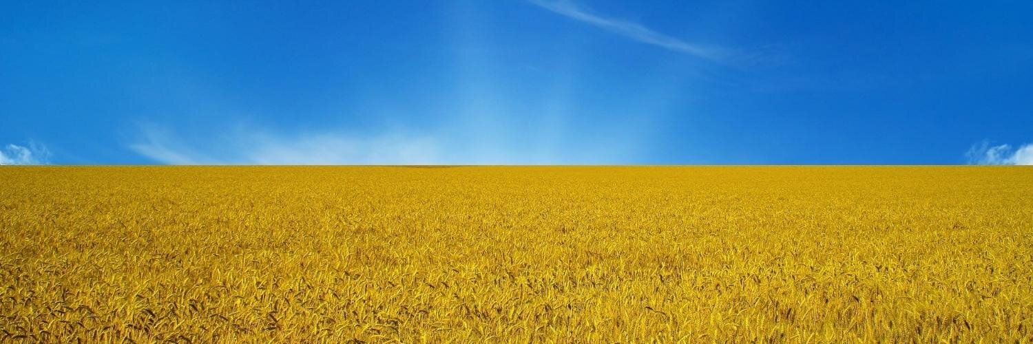 meyandrew's profile banner image