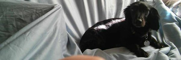Freedom4bd Profile Banner