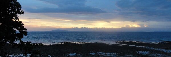 olisohr Profile Banner