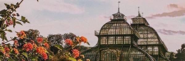 ســمـر💲ا ميس♟️ banner