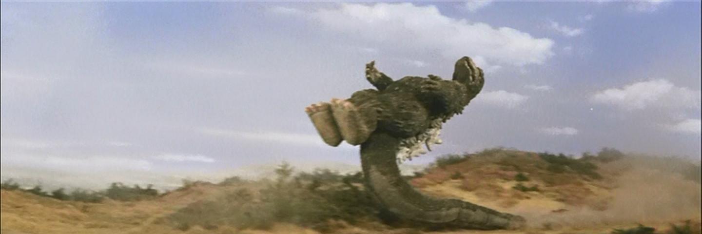 Mynamesturtle's profile banner image