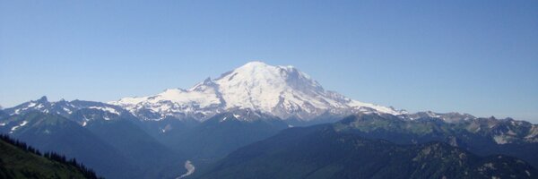 DebraWilliamson Profile Banner