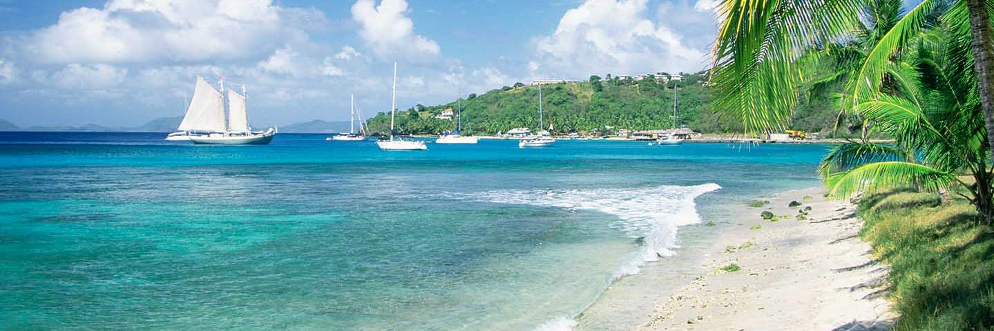 Teni Charles _ 🇻🇨 banner