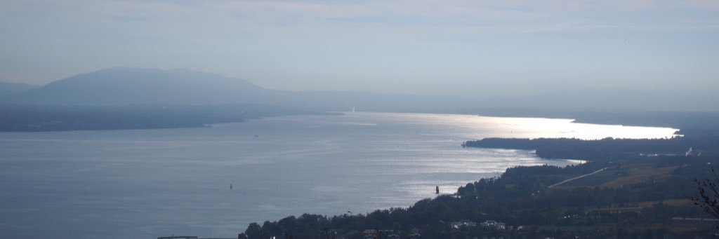 MorganePol's profile banner image