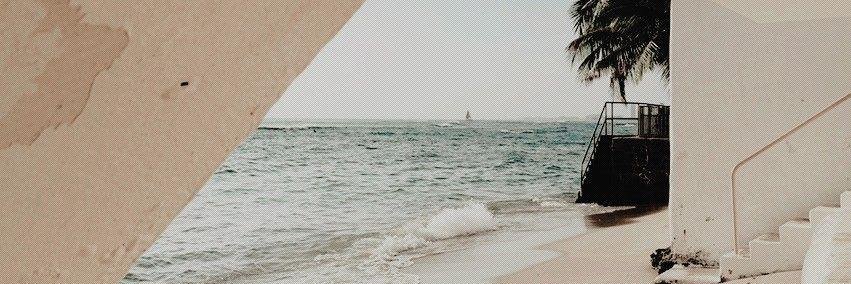 Alddi💜 banner