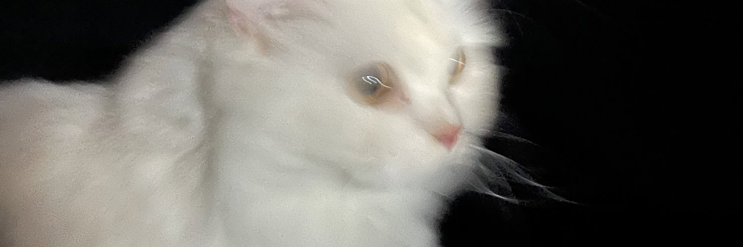 PraewRttv's profile banner image