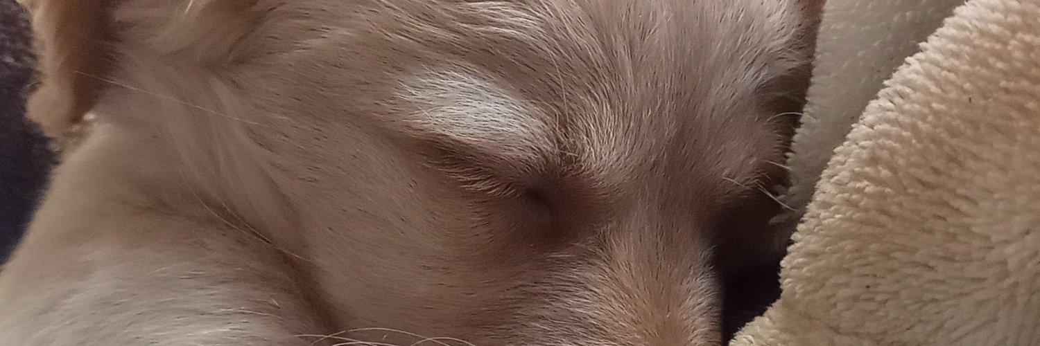 ꧁•⊹٭𝙼𝚘𝚗𝚒٭⊹•꧂⭐⭐⭐🚴‍♀️🏋️‍♀️🚶‍♀️ banner