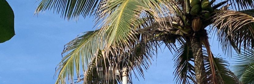 TX_Twink's profile banner image