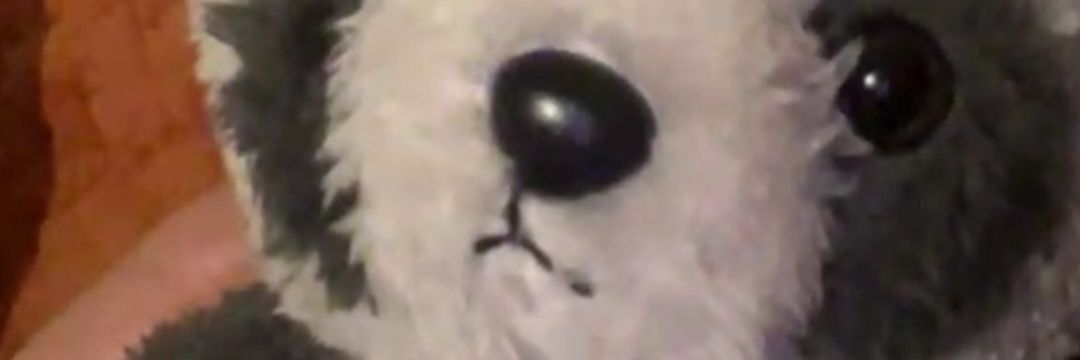 Cyniko Light⚡️ banner