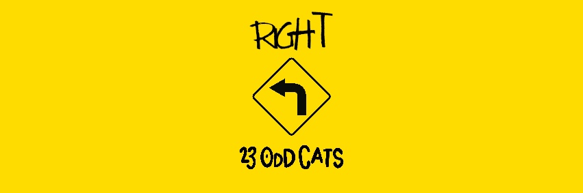 23OddCats banner