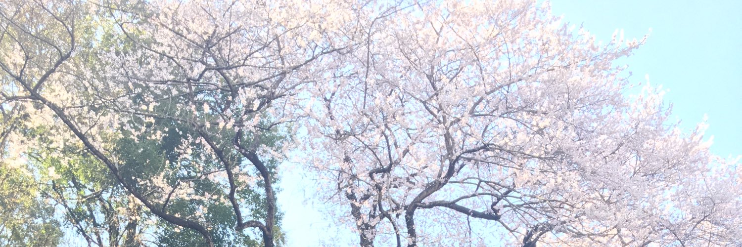 SYasu9's profile banner image
